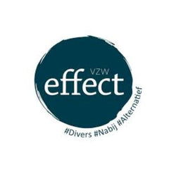Logo VZW Effect