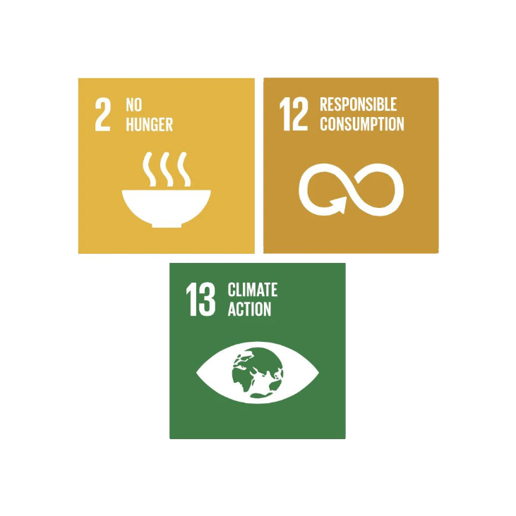 Iconen van Sustainable Development Goals 2, 12 en 13